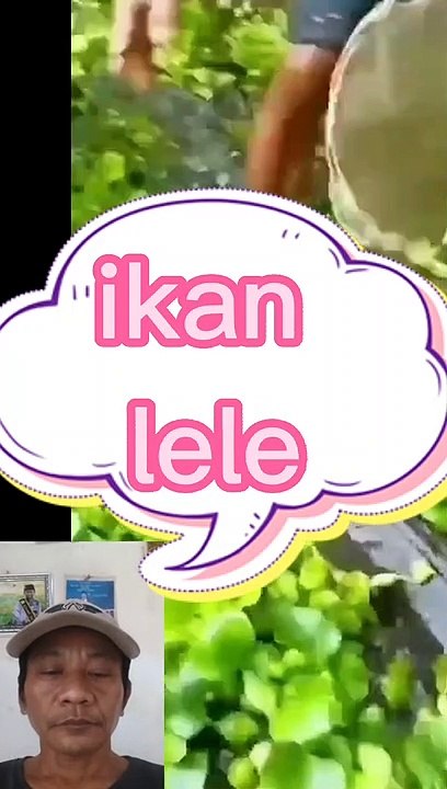 Dapet ikan gede banget