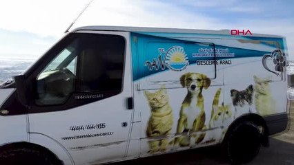 VAN'DA KIŞ MEVSİMİNDE SOKAK HAYVANLARI UNUTULMADI