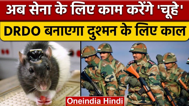 Indian Army में शामिल होंगे चूहे, DRDO दुश्मन को सबक सिखाने को करेगा तैयार | वनइंडिया हिंदी