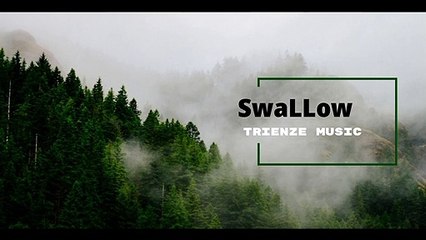 [FREE ]'SwaLLow' - InsTrumenTal mUsiC - no copyright music.