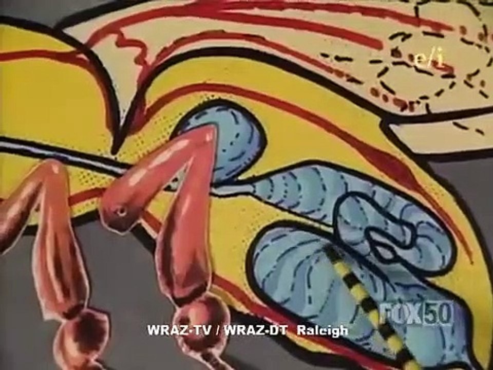 Beakman's World - Se1 - Ep24 HD Watch