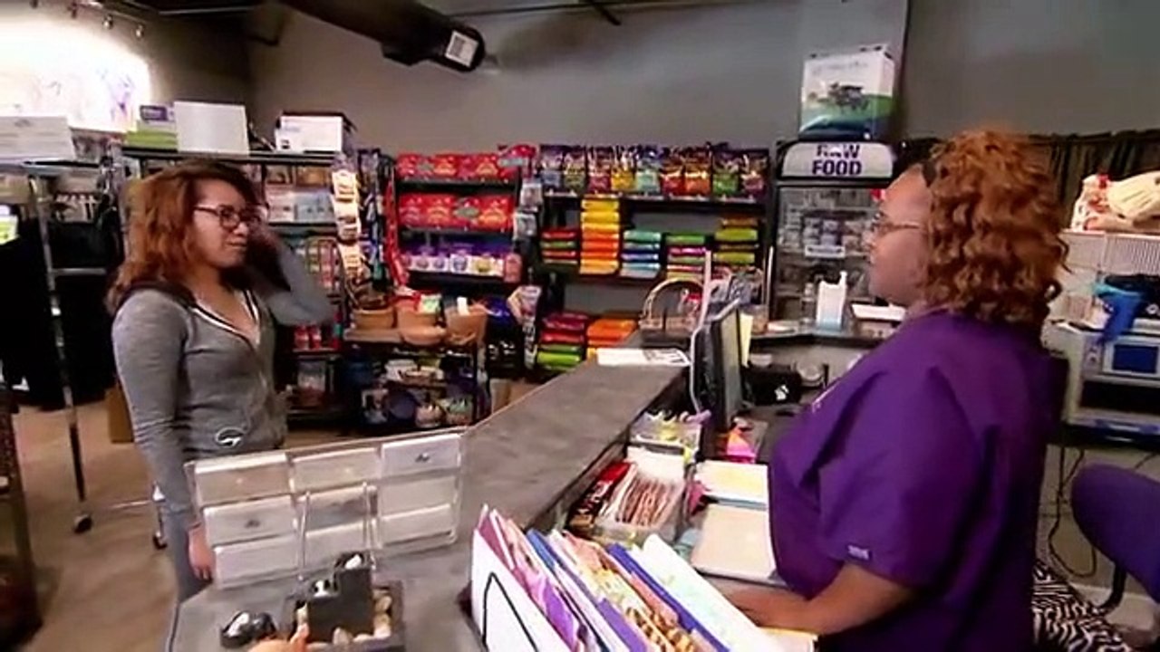 Dr. Jeff - Rocky Mountain Vet - Se6 - Ep03 HD Watch