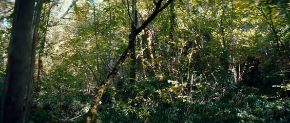 Auf dass die Bestie sich erhebe Trailer OV