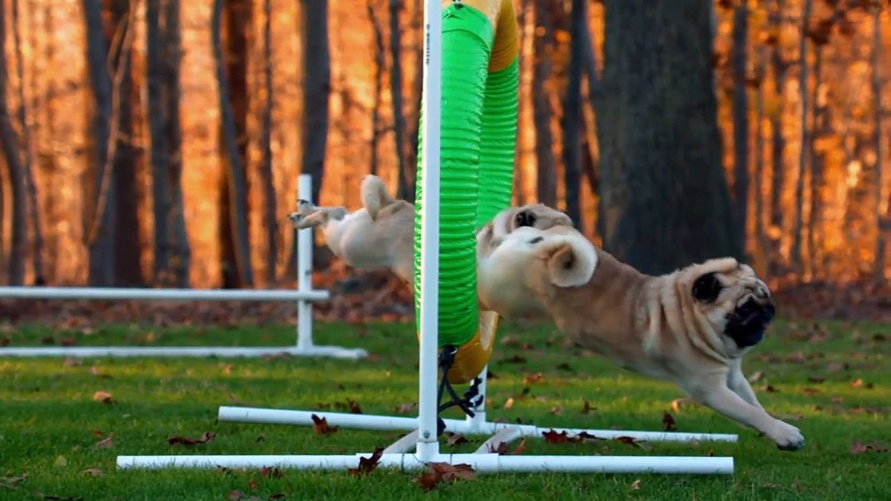 Too Cute! - Ep03 HD Watch