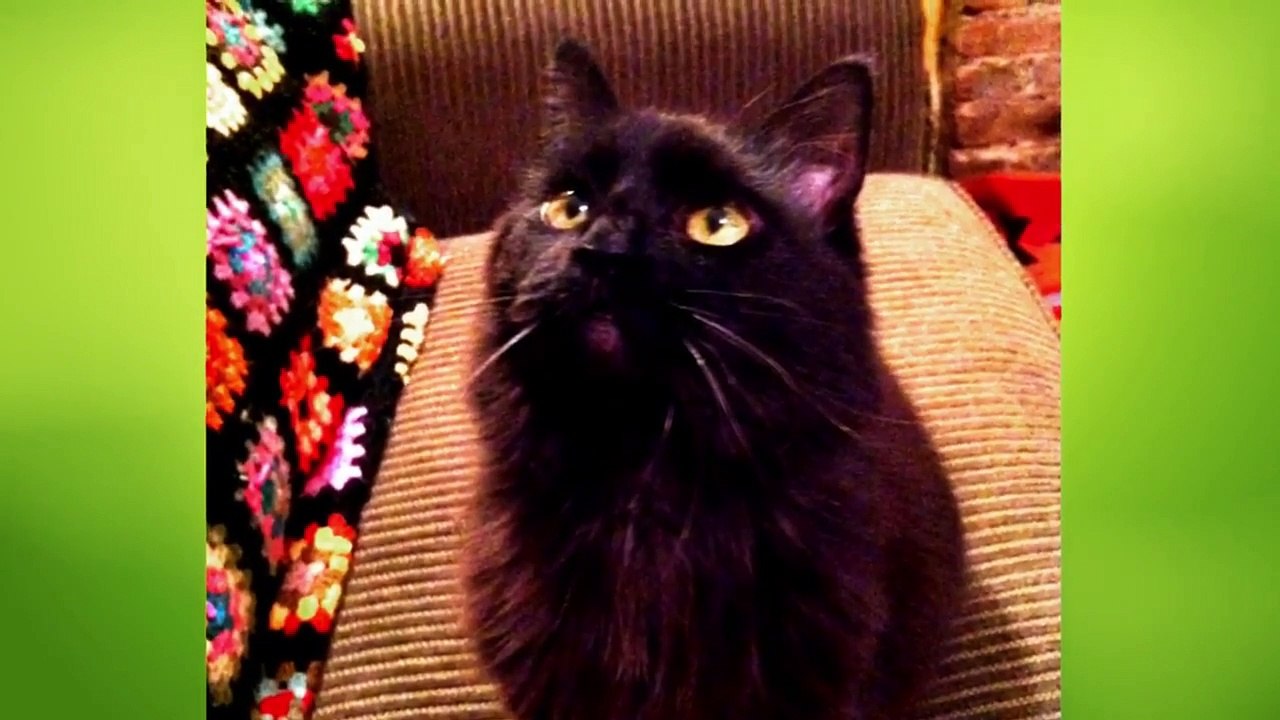 Too Cute! - Ep04 HD Watch