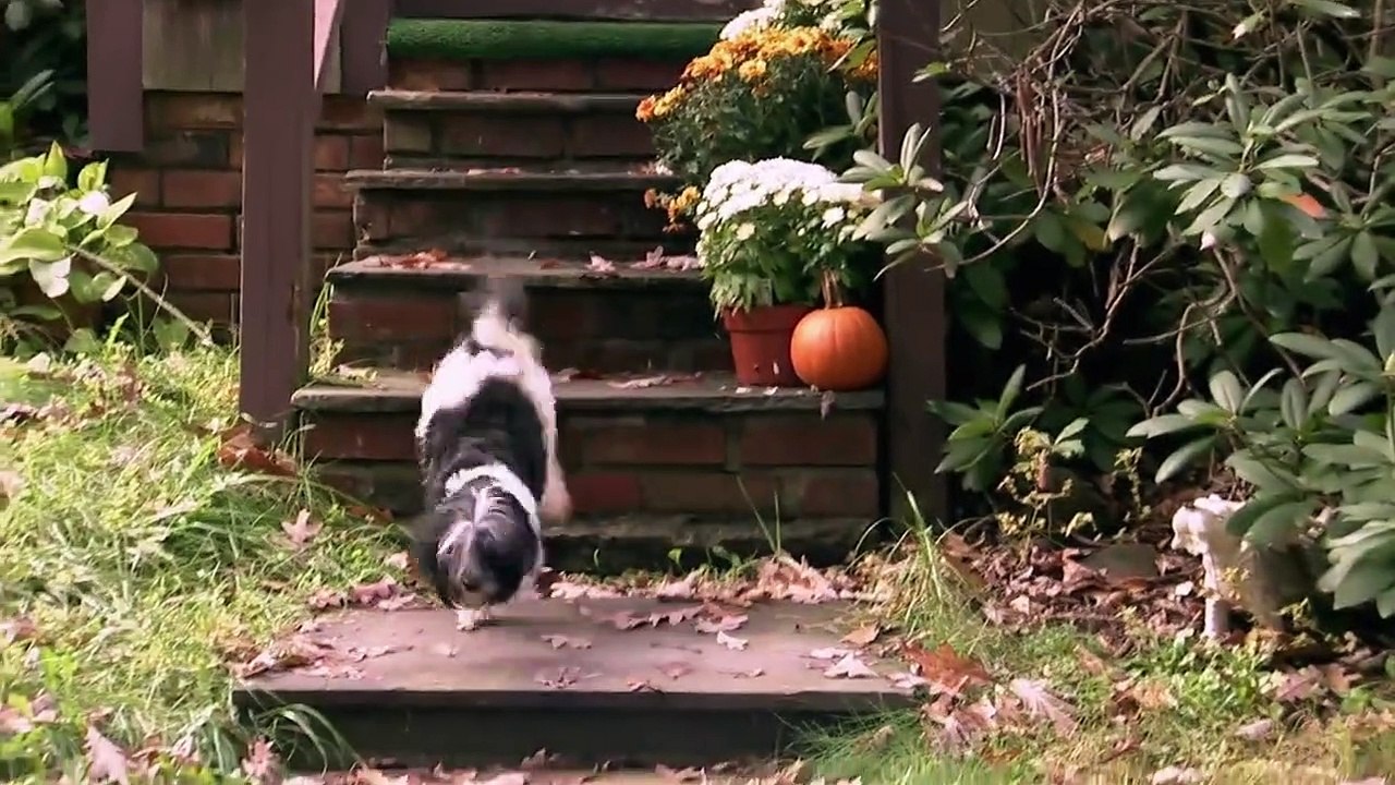 Too Cute! - Ep07 HD Watch