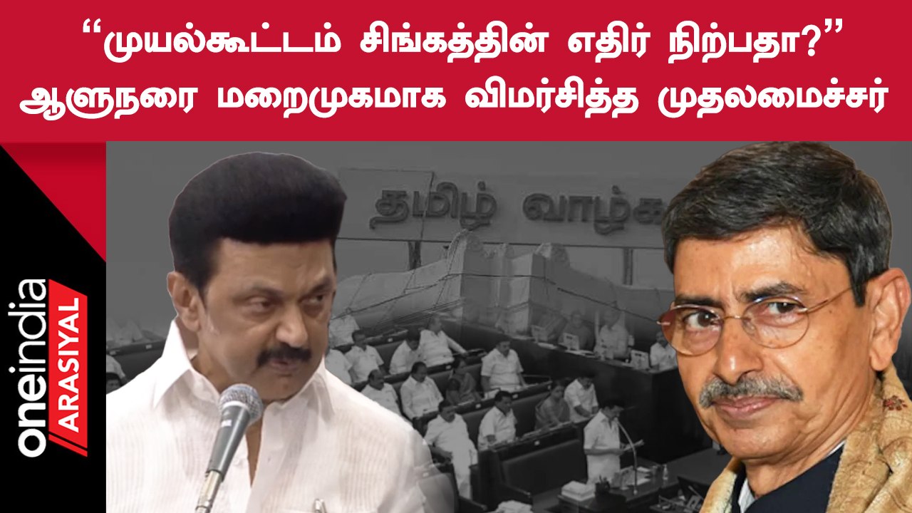 Dravidian Model ஆட்சியில் Tamilnadu தலைநிமிர்ந்துள்ளது - முதலமைச்சர் ஸ்டாலின்