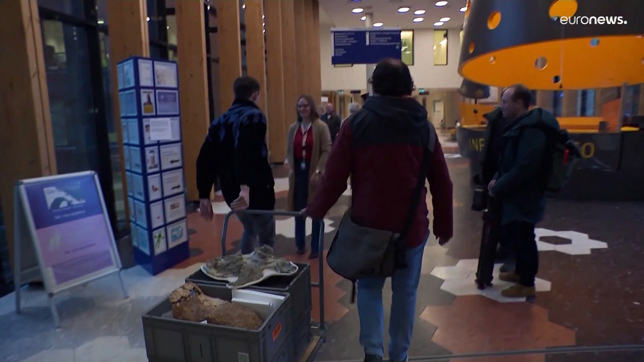 Wahrscheinlich Dinosaurier-Embryo entdeckt