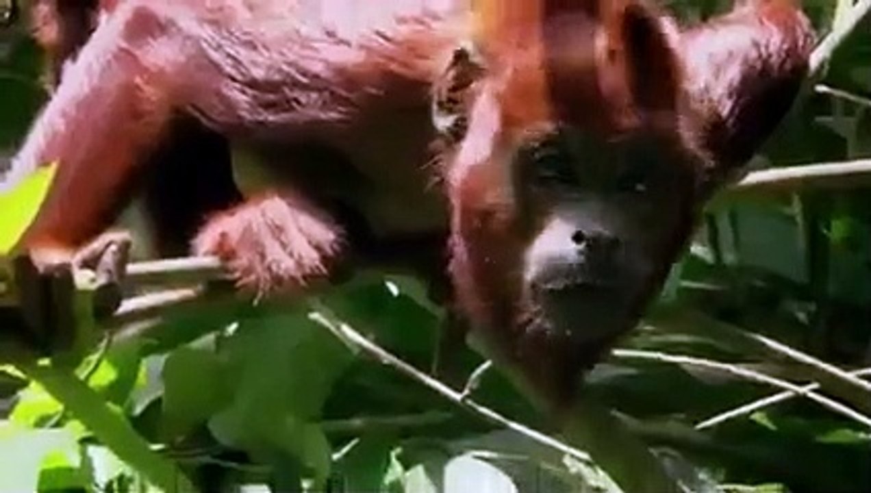 Earth Odyssey with Dylan Dreyer - Se2 - Ep04 - Amazon HD Watch