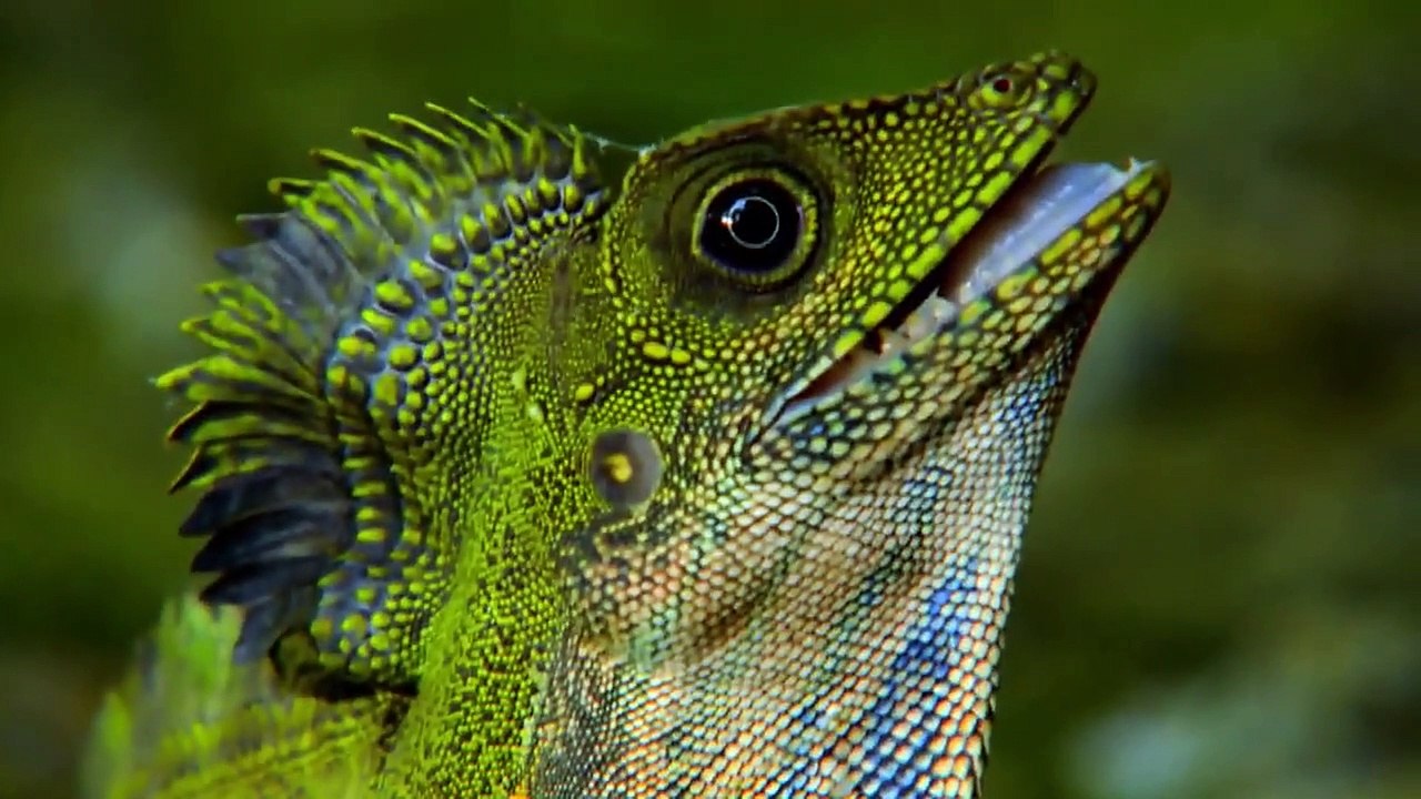 Earth Odyssey with Dylan Dreyer - Se2 - Ep01 - Malaysia HD Watch