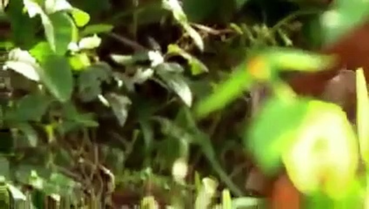 Earth Odyssey with Dylan Dreyer - Se2 - Ep03 - Venezuela HD Watch