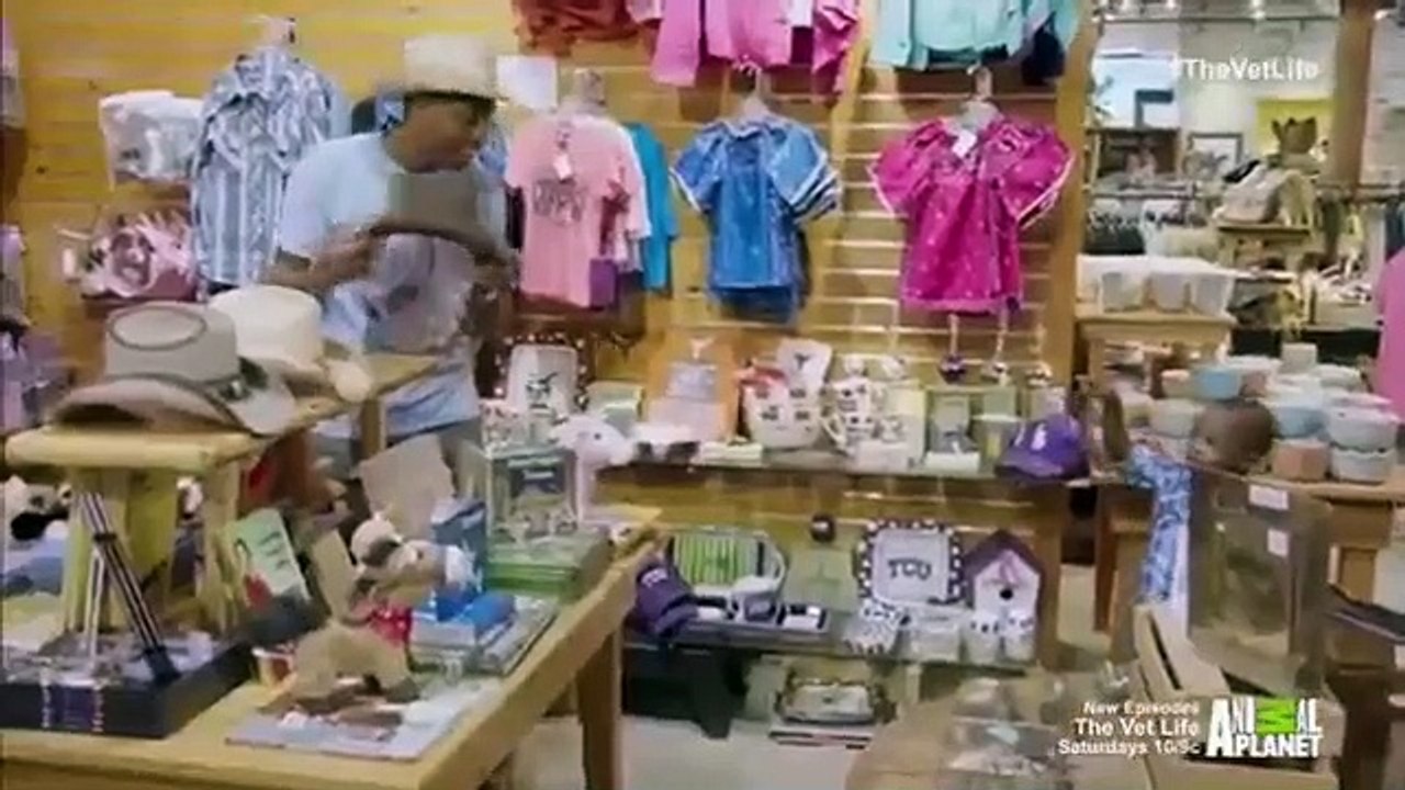 The Vet Life - Se1 - Ep02 HD Watch