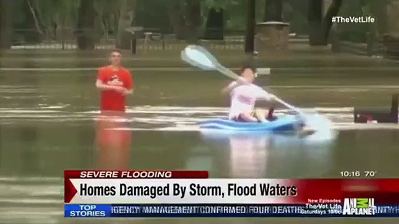 The Vet Life - Se1 - Ep05 HD Watch