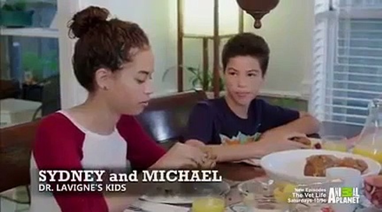 The vet life - se2 - ep01 - dunk- a -doctor hd watch