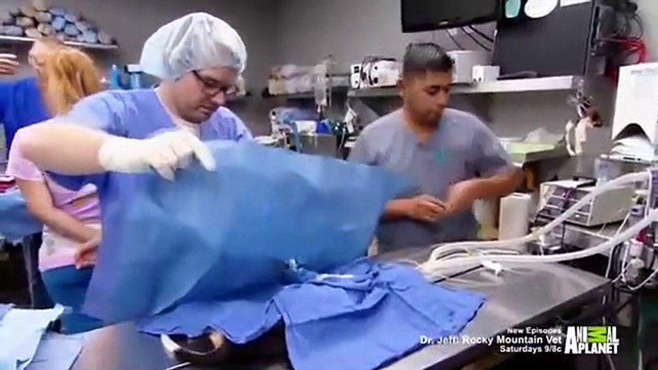 Dr. Jeff - Rocky Mountain Vet - Se3 - Ep11 HD Watch