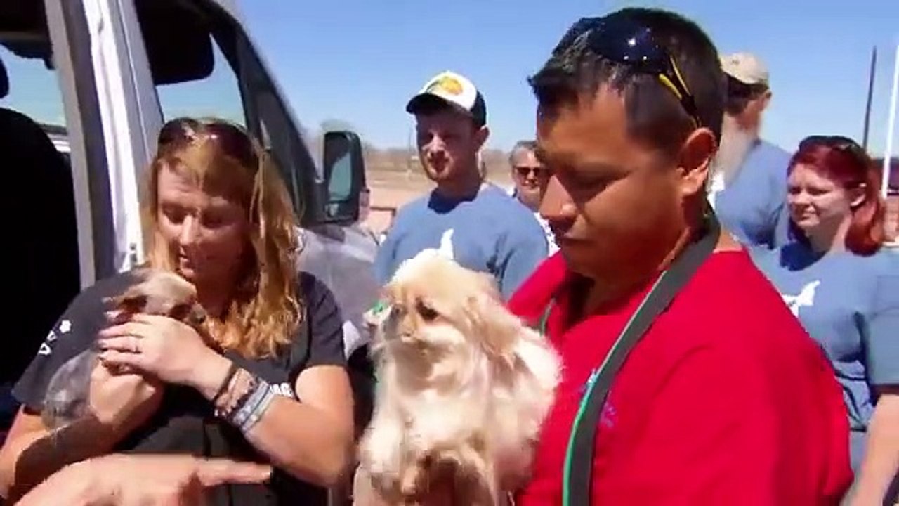 Dr. Jeff - Rocky Mountain Vet - Se4 - Ep02 HD Watch