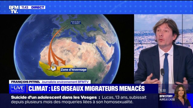 Quelles sont les conséquences de cette météo aux températures très douces? BFMTV répond à vos questions