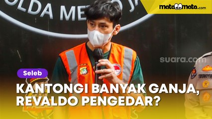 Télécharger la video: Kantongi Banyak Ganja, Revaldo Pengedar?