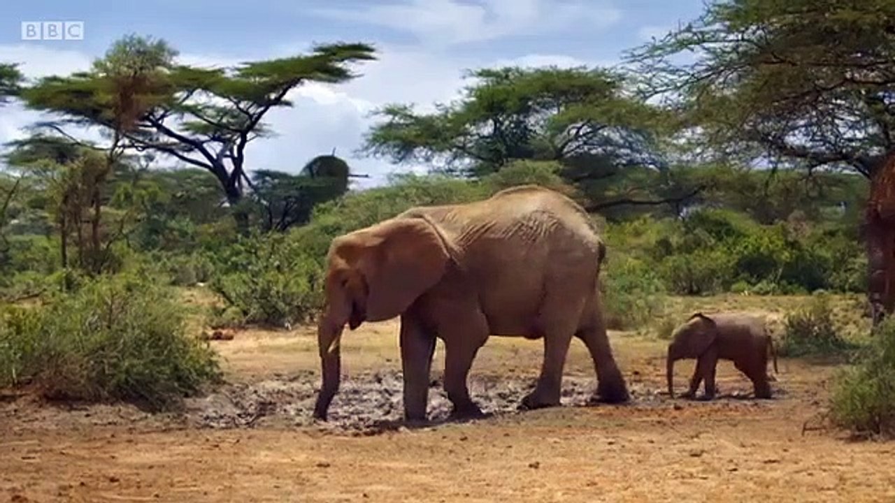 Earth from Space - Se1 - Ep01 - A New Perspective HD Watch