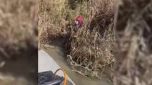 Rescate de 3 menores a orillas de un río cuando intentaban cruzar la frontera de México