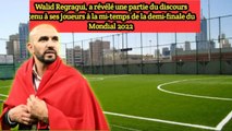 France-Maroc : Le sélectionneur Marocain Walid Regragui met un gros tacle aux Bleus