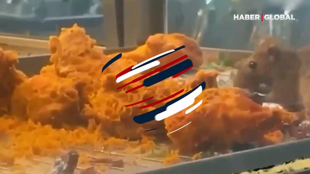 Restoranda kızarmış tavuk tezgahından fare çıktı! Müşteriler o anları böyle kaydetti