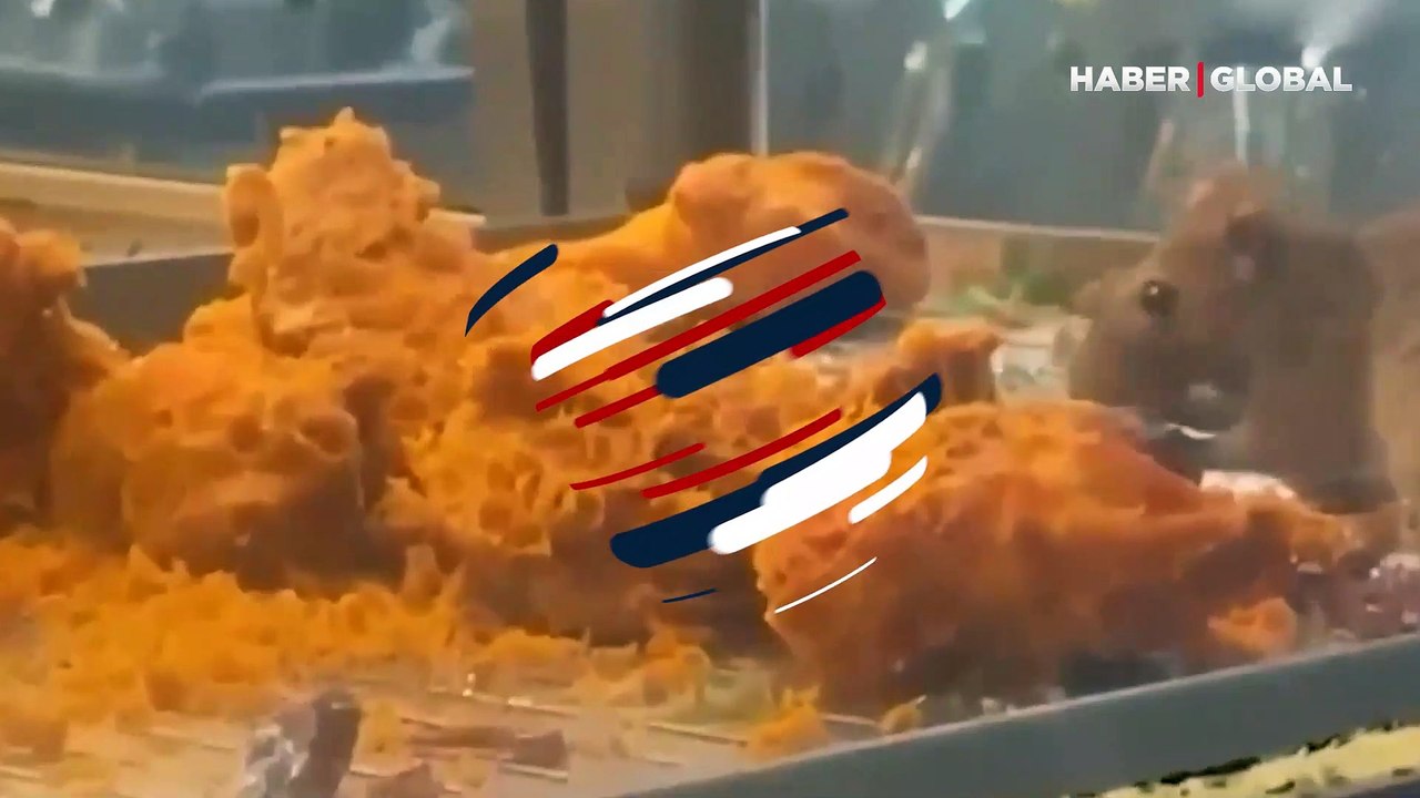 Restoranda kızarmış tavuk tezgahından fare çıktı! Müşteriler o anları böyle kaydetti