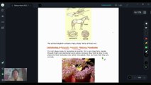 BIOLOGY IGCSE CHAPTERS 4-7 FINAL - Made with Clipchamp