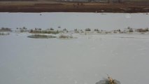 Kars Barajı'nın yüzeyi buz tuttu