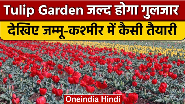 Jammu Kashmir: रंग बिरंगे फूलों से गुलजार होगा Asia का सबसे बड़ा Tulip Garden | वनइंडिया हिंदी