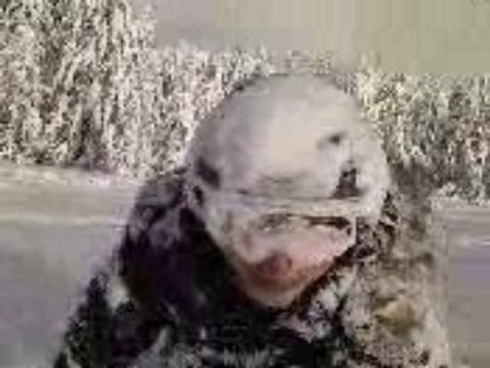 La neige c'est cool vol 1 (tete dans neige)