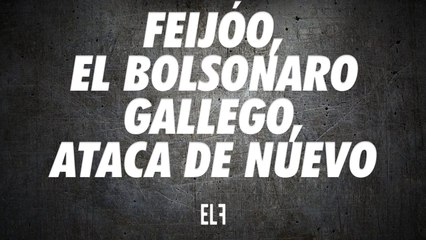 Feijóo, el Bolsonaro gallego, ataca de nuevo - #EnLaFrontera637
