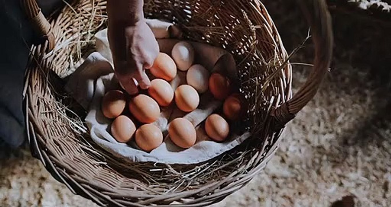 Eggs
