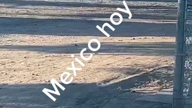 Imágenes de los enfrentamientos entre las autoridades y los narcotraficantes en México.