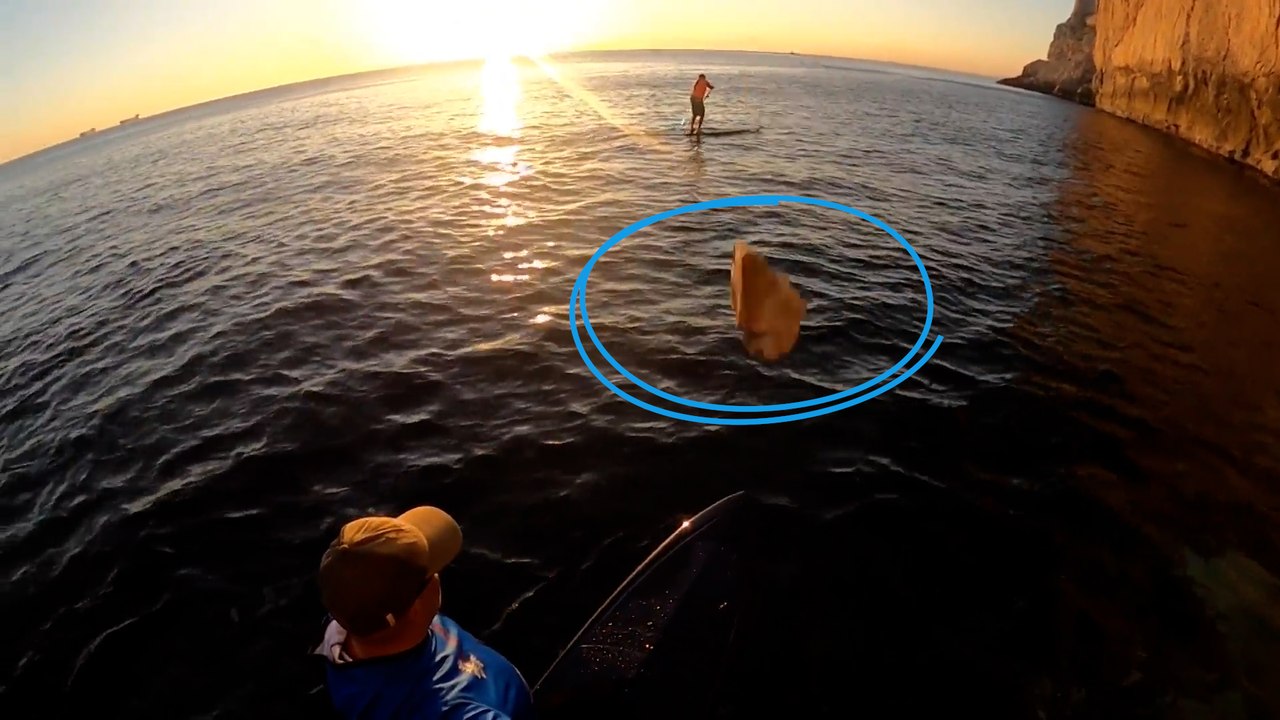 Gibraltar :  une pierre tombe d'une falaise et fracasse sa planche de paddle