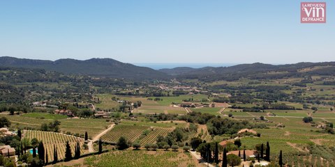 "Bandol, des vins initiatiques"