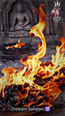 ||| रुद्राक्ष की शक्ति ||| Power of  Rudraksha  #viral #shorts #new #hindutva