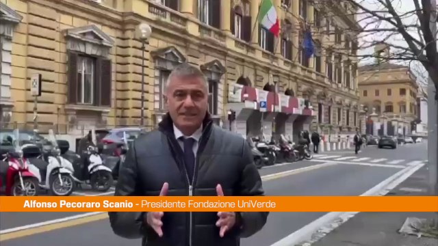 Regionali Lazio: Pecorario Scanio Polo Progressista avvio Ulivo 4.0