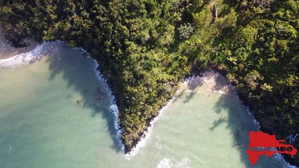 Soft House - Lounge Music - Tropical Vibes 2023 VOL 5