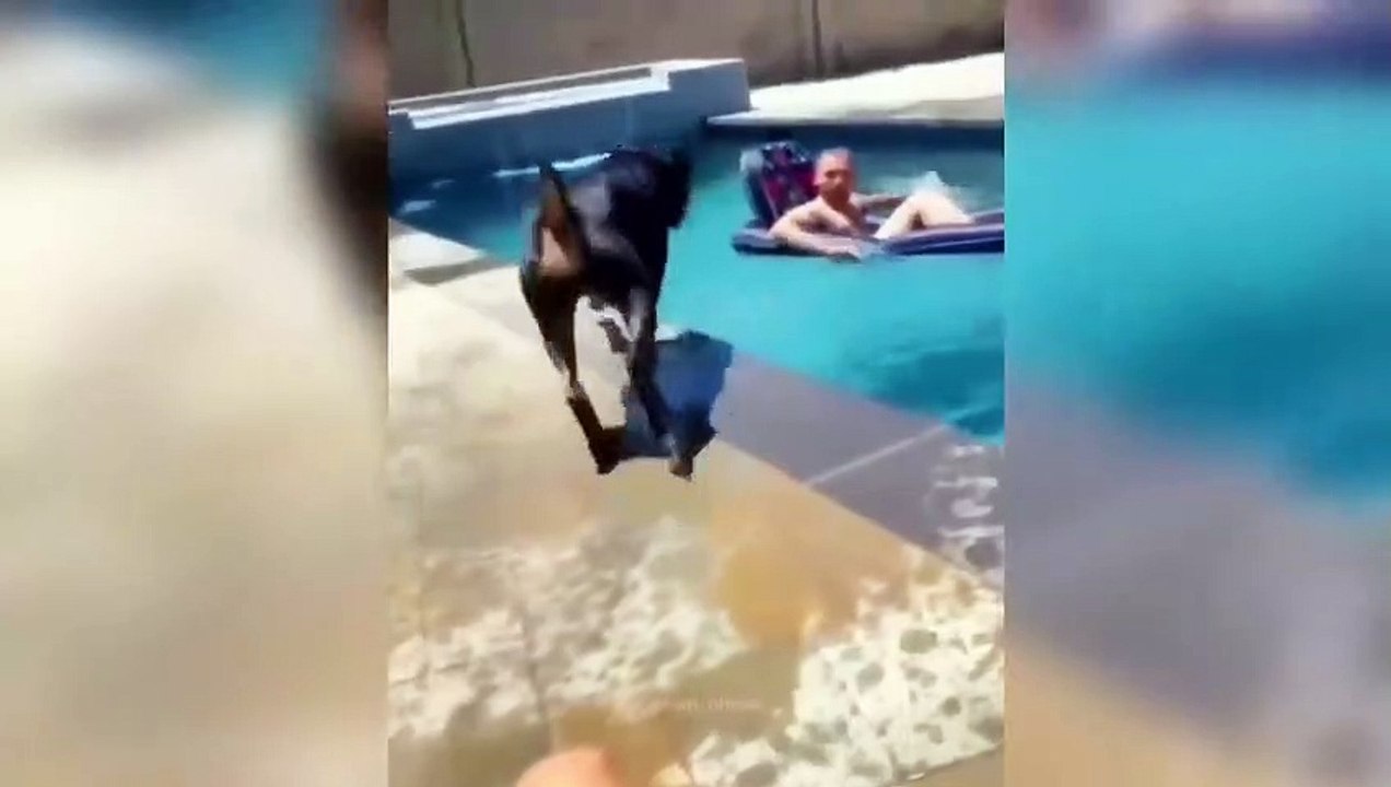 if you laugh 4 times, you restart