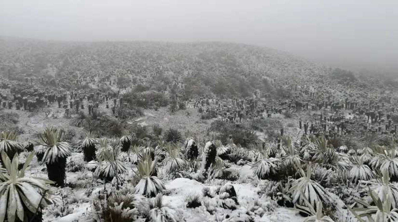 ¡Impresionante! Sumapaz amaneció totalmente cubierta de nieve: ¿qué dicen los expertos?
