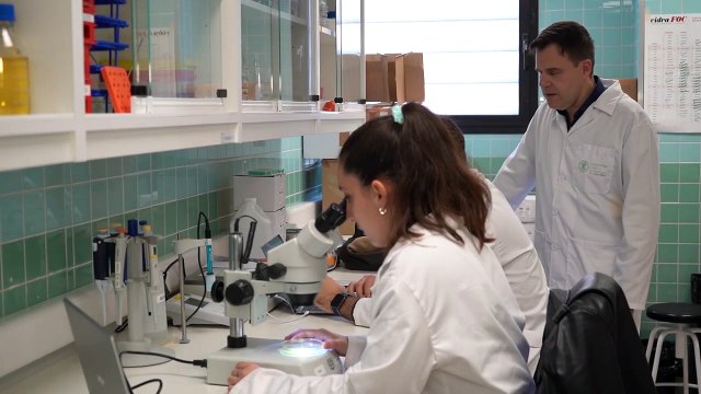 Investigadores de la UCV desarrollan un pintalabios antimicrobiano