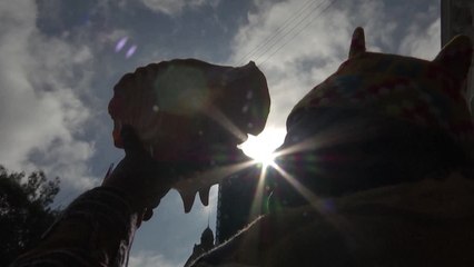 Bolivia se lanza en defensa de la coca