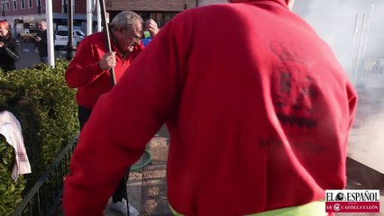 Los pingüinos llegan a Mojados