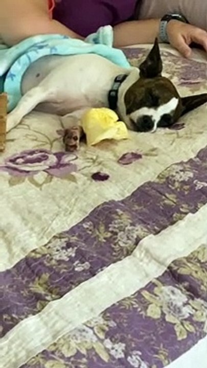 Princess sleeps like a human