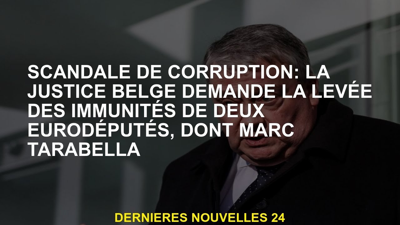 Scandale de la corruption: la justice belge demande la levée des immunités de deux députés, dont Mar