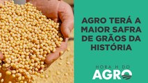 Brasil deve ter a maior safra de grãos da história, mas não escapa de problemas climáticos | HORA H