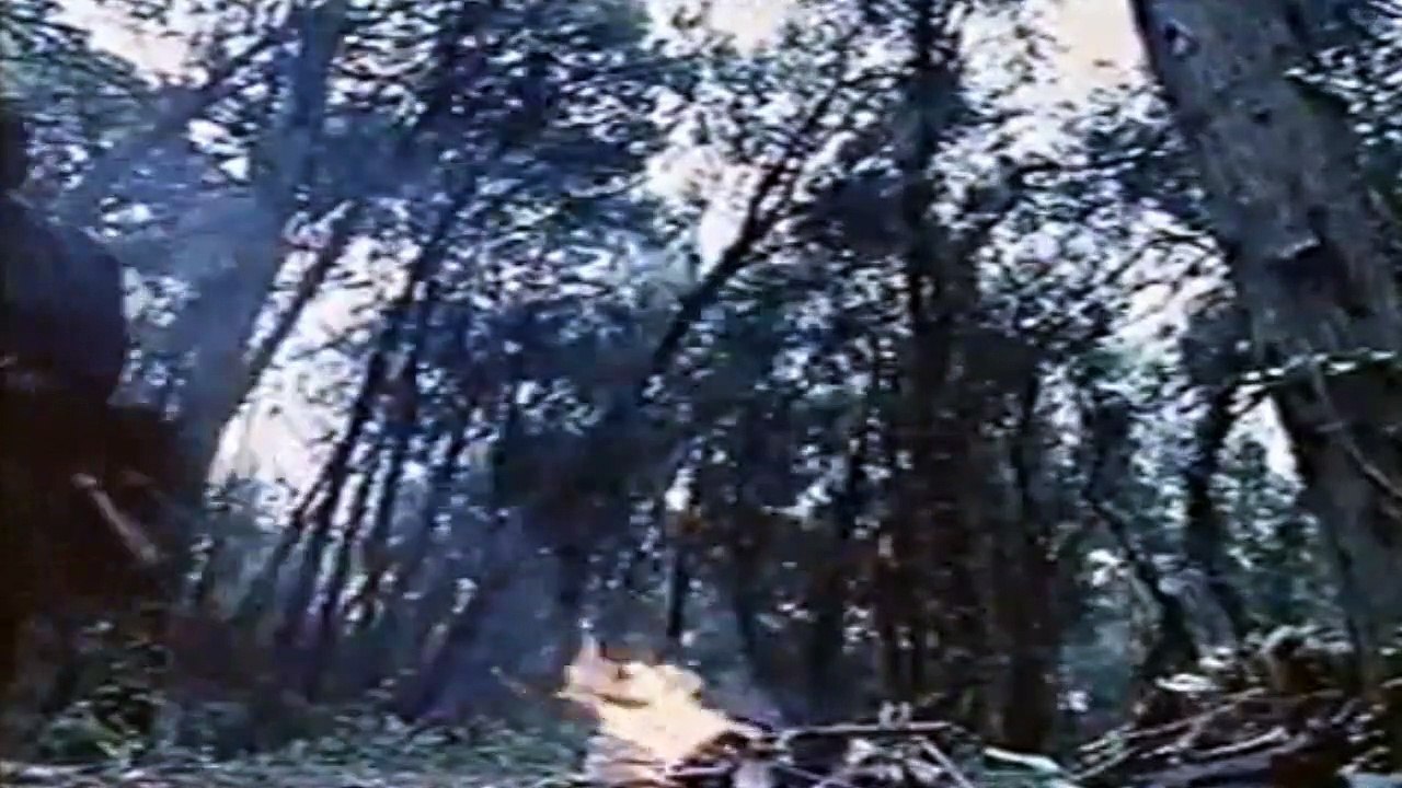 Pedro Malasarte e a Panela Mágica