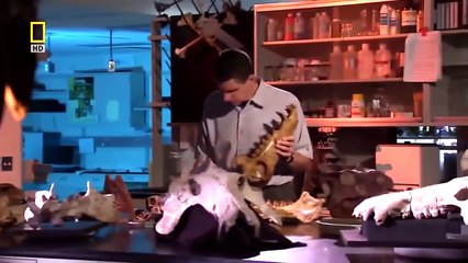 National Geographic- New Discovery About Dinosaurs- BEST creature on earth