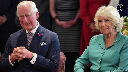 The Best Pictures of Charles and Camilla